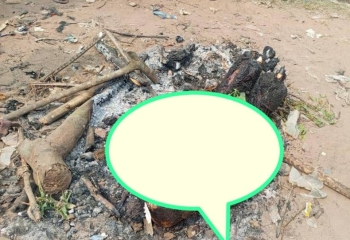 Kasai Central || Justice populaire a Kananga : un presume voleur brule vif ce dimanche a Ndesha