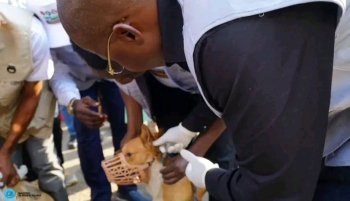 Kasai Central : A Kananga, le Ministre Jean-Pierre Tshimanga lance la vaccination gratuite du betail et equipe la province